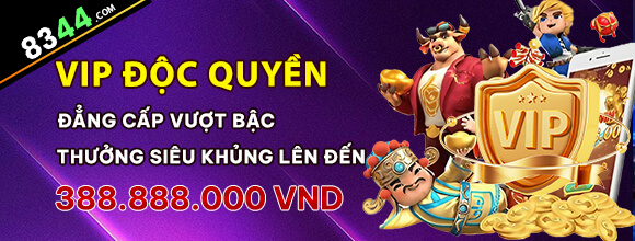 betvisa