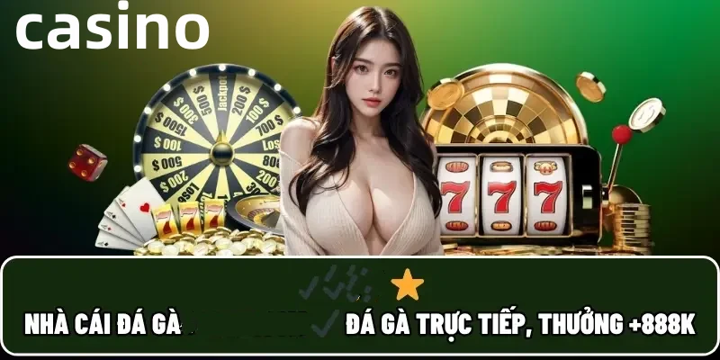 betvisa