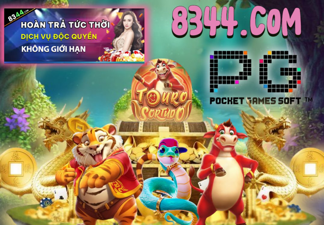 betvisa