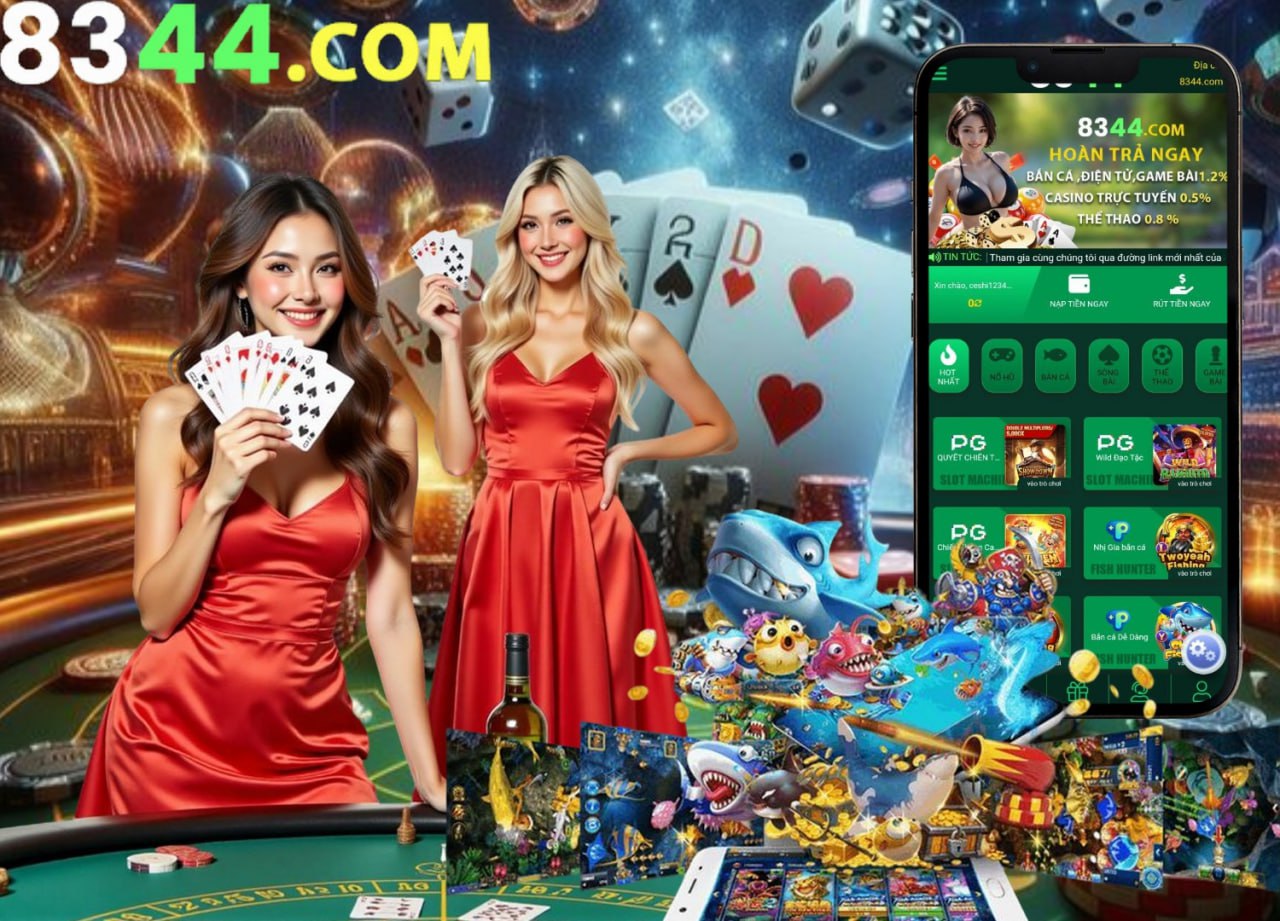betvisa