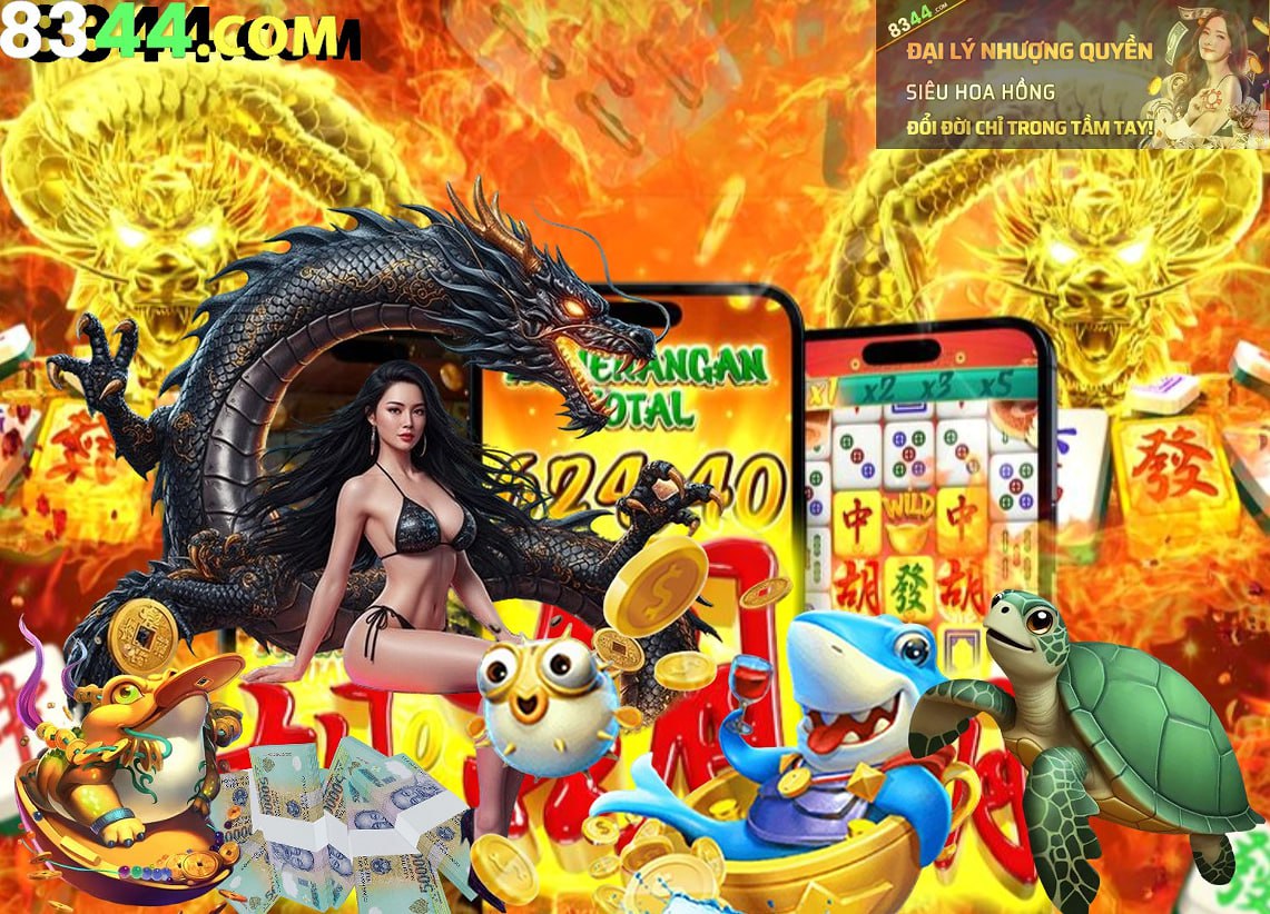 betvisa