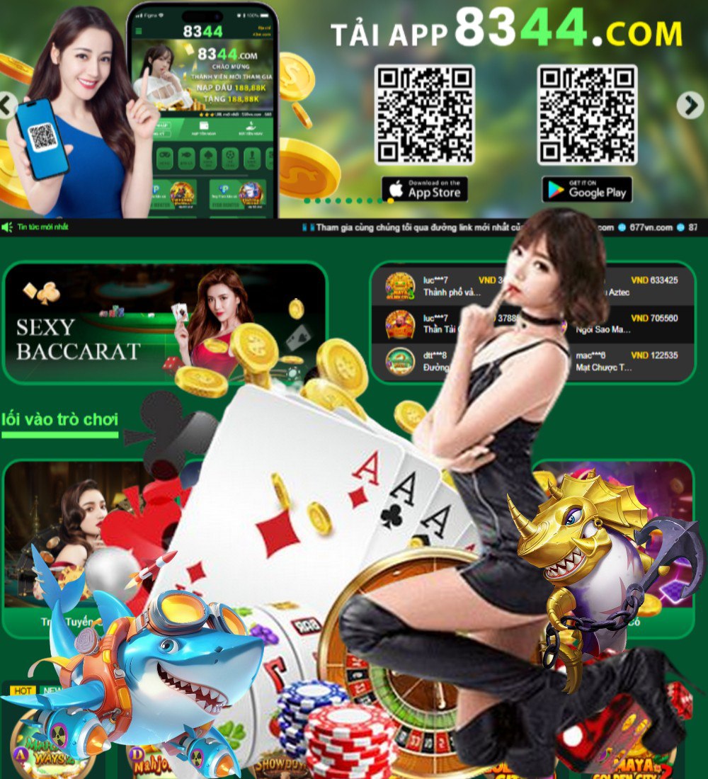 betvisa